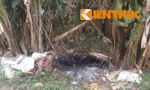 3. Kinh hoàng xác phụ nữ quấn trong chăn bị thiêu giữa TP HCM. Khoảng 15h ngày 12/11, người dân sống tại 1 con hẻm giữa 2 tuyến đường 160 và 102 (phường Tân Nhơn Phú A, Quận 9, TP HCM) ngửi thấy mùi khét giống mùi thịt cháy bốc lên. Khi người dân chạy đi kiểm tra thì kinh hoàng phát hiện một thi thể người vẫn còn loang máu quấn trong chăn bông đang bốc cháy ngùn ngụt giữa bụi chuối tại con hẻm này.