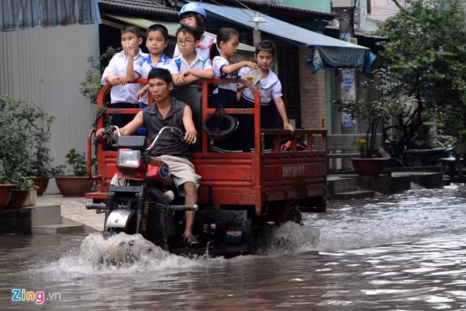Anh Nguyễn Bá Thiên (ở đường Liên khu 10-11, phường Bình Trị Đông, quận Bình Tân) cho hay, những ngày nắng ráo anh dùng xe máy đón con, nhưng mỗi khi có mưa lớn, ngập hai con hẻm này là anh phải chạy xe ba gác. Đã 5 ngày liền anh dùng phương tiện kiếm cơm của mình để đưa con trai đang học lớp 2 cùng 5 học sinh khác ngụ cùng xóm về nhà.