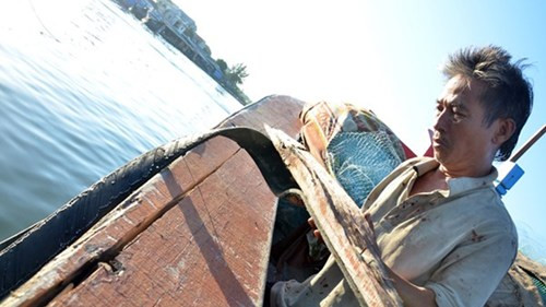 Khi ngư dân đang kéo lưới, tàu cảnh sát biển (hải cảnh) của Trung Quốc mang số 46102 xuất hiện, lập tức xông thẳng vào giữa giàn lưới của ngư dân Việt Nam, quần nát những tấm lưới. Ngư dân trên tàu vội thả bỏ vùng lưới nát để chạy đến tranh thủ kéo nhanh những tấm lưới khác. Nhưng hễ thấy tàu ngư dân đi đến đâu là tàu hải cảnh lập tức xông đến phá lưới. Chiều 27/11, tàu cá QNg 90226 trở về bờ sau khi bị tàu hải cảnh Trung Quốc manh động đâm gần chìm, xua đuổi khắp đảo Hoàng Sa.