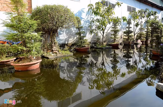 Trước đây khu này là hoa viên chuyên tổ chức tiệc cưới, nay trở thành ao nuôi cá.