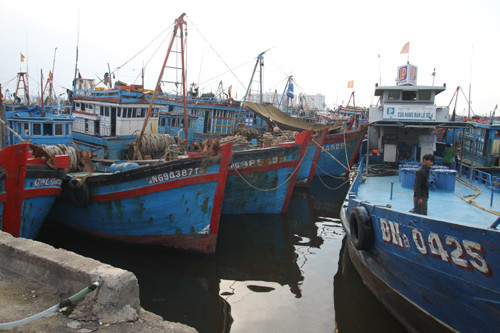 Các tàu cá neo đậu trú bão tại âu thuyền Thọ Quang, Đà Nẵng.