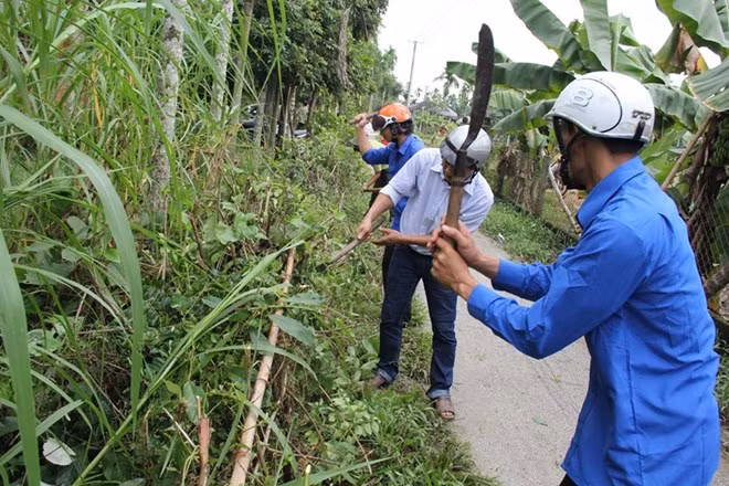 Theo các chuyên gia, rắn lục đuôi đỏ xuất hiện nhiều bất thường có thể do nhiều nguyên nhân. Đầu tiên là tình trạng phá rừng làm rẫy khiến môi trường sống và thức ăn của rắn bị thu hẹp nên rắn phải di cư đi nơi khác. Thứ hai, do các loài khắc tinh của rắn bị con người săn bắt. Thứ ba, có thể do mùa lũ năm nay đến muộn, rắn đang vào mùa sinh sản gặp điều kiện thời tiết thuận lợi. Khi bị rắn cắn cần ép chặt vùng bị cắn. Ở chân thì ép từ đầu ngón chân lên khỏi các chi, giữ nọc độc không phát tán. Bệnh nhân không nên rạch, hút, nặn máu tại vết rắn cắn, vì làm như vậy sẽ bị nhiễm trùng.