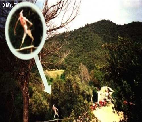 Quỷ Jersey. Người ta cho rằng Quỷ Jersey xuất hiện ở Pine Barrens, Quỷ Jersey hiếm khi được nhìn thấy ngày nay, nhưng trong suốt một tuần trong năm 1909, ở khắp các bang Delaware Valley rất nhiều người nhìn thấy Quỷ Jersey. Quỷ Jersey bị đổ tội phá hoại hoa màu bởi xuất hiện những dấu chân lạ và những âm thanh khủng khiếp sau khi ruộng của họ bị phá