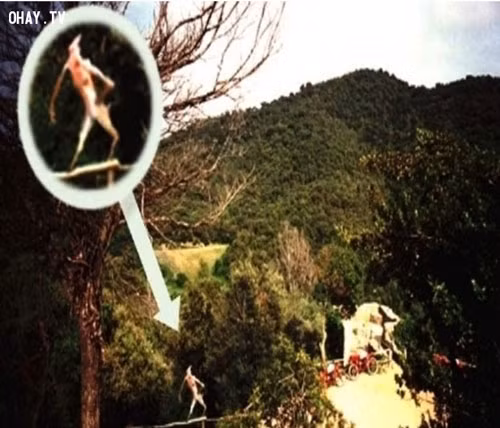 Quỷ Jersey. Người ta cho rằng Quỷ Jersey xuất hiện ở Pine Barrens, Quỷ Jersey hiếm khi được nhìn thấy ngày nay, nhưng trong suốt một tuần trong năm 1909, ở khắp các bang Delaware Valley rất nhiều người nhìn thấy Quỷ Jersey. Quỷ Jersey bị đổ tội phá hoại hoa màu bởi xuất hiện những dấu chân lạ và những âm thanh khủng khiếp sau khi ruộng của họ bị phá