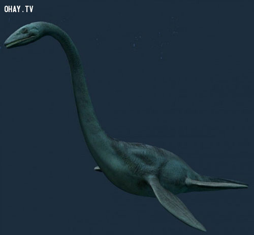 Quái vật hồ Michigan. Nếu bạn chỉ biết một cách sơ sài về quái vật hồ Lochness, thì có lẽ bạn cũng chỉ biết sơ sài về con quái vật hồ Michigan. Theo nhiều báo cáo, nó dài hơn 50 feet ~ 15,2m, với một cái cổ dài, đầu nhỏ, toàn thân phủ bởi vảy màu xám. Cũng có nhiều báo cáo khác về tiếng ồn có thể do tiếng rống ầm ĩ của nó tạo ra. Điều gì đã khiến nó có mặt trong danh sách của chúng ta? Đó chính là câu chuyện của một ngư dân, từng đinh ninh con quái vật đã từng cách thuyền ông 6,1m và những mô tả chi tiết của ông về loại quái vật hoàn toàn trùng khớp với những dấu hiệu đã được phát hiện trước đó.