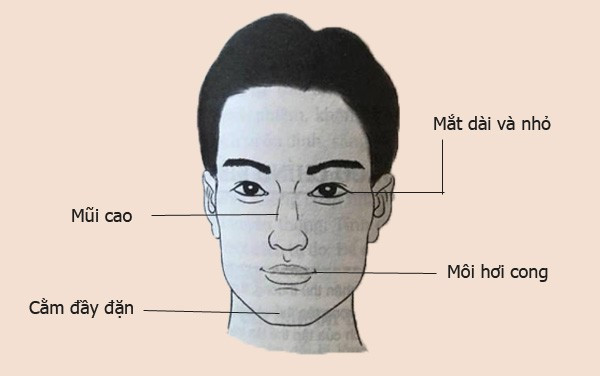 Nhận định chung về người có gương mặt 2 cằm, hay cằm 2 ngấn thường là những người có tính tình hiền hòa, làm việc ít so đo tính toán thiệt hơn, không thù lâu nhớ dai, là người bao dung, rộng lượng. Họ là những người cởi mở, phóng khoáng, biết cảm thông, tha thứ. Những người này thường có vận “kiếm tiền ngoài luồng”, đại ý rằng họ dễ thành công thu lợi khi đầu tư vào kinh doanh. Nhờ vậy, khi về già, họ sẽ được phú quý, an nhàn. Đánh giá chung hầu hết các tài liệu ghi chép và bản thân người viết đều cho rằng đây là tướng cằm tốt.