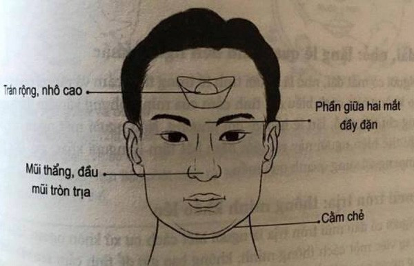 Người có sống mũi thẳng dài vượt ấn đường là đại phú. Ấn đường là vùng thịt giữa 2 hàng lông mày. Người có sống mũi thẳng, dài vượt ấn đường rất ít. Mũi cũng là cung thổ, liên quan đến đất cát. Mũi đẹp là cung điền trạch vượng.