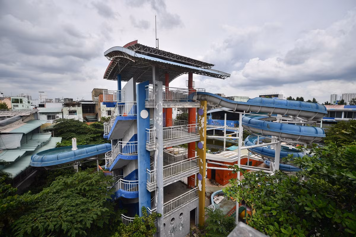 Cây cối, cỏ dại mọc um tùm phủ kín lối đi.