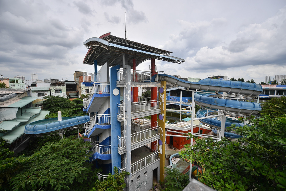 Cây cối, cỏ dại mọc um tùm phủ kín lối đi.