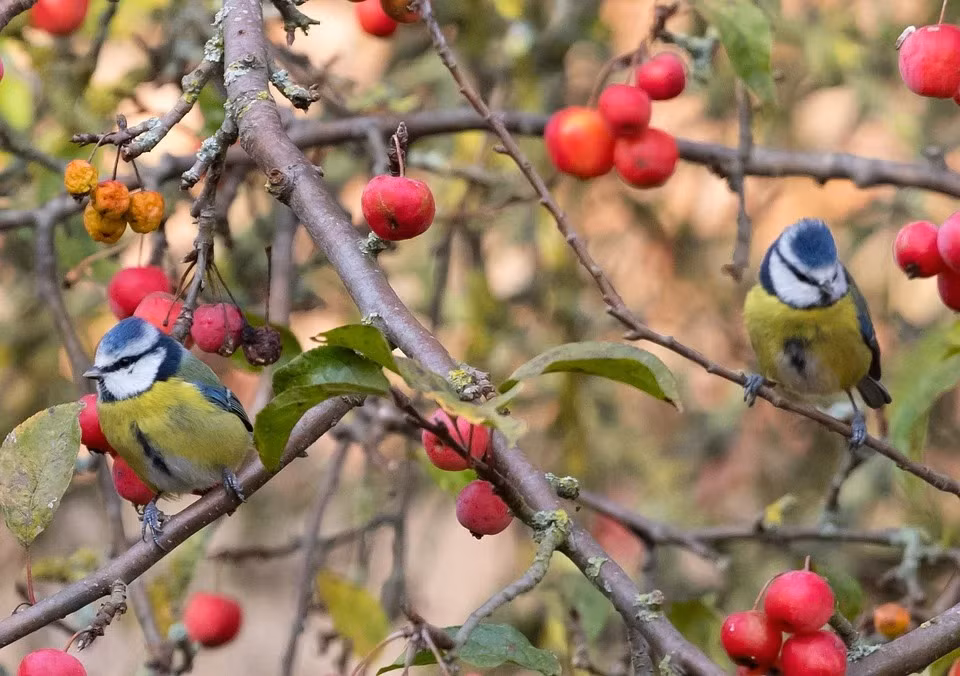 Nguoi tuoi Hoi sinh thang Am lich nao thi so phan may man?-Hinh-3