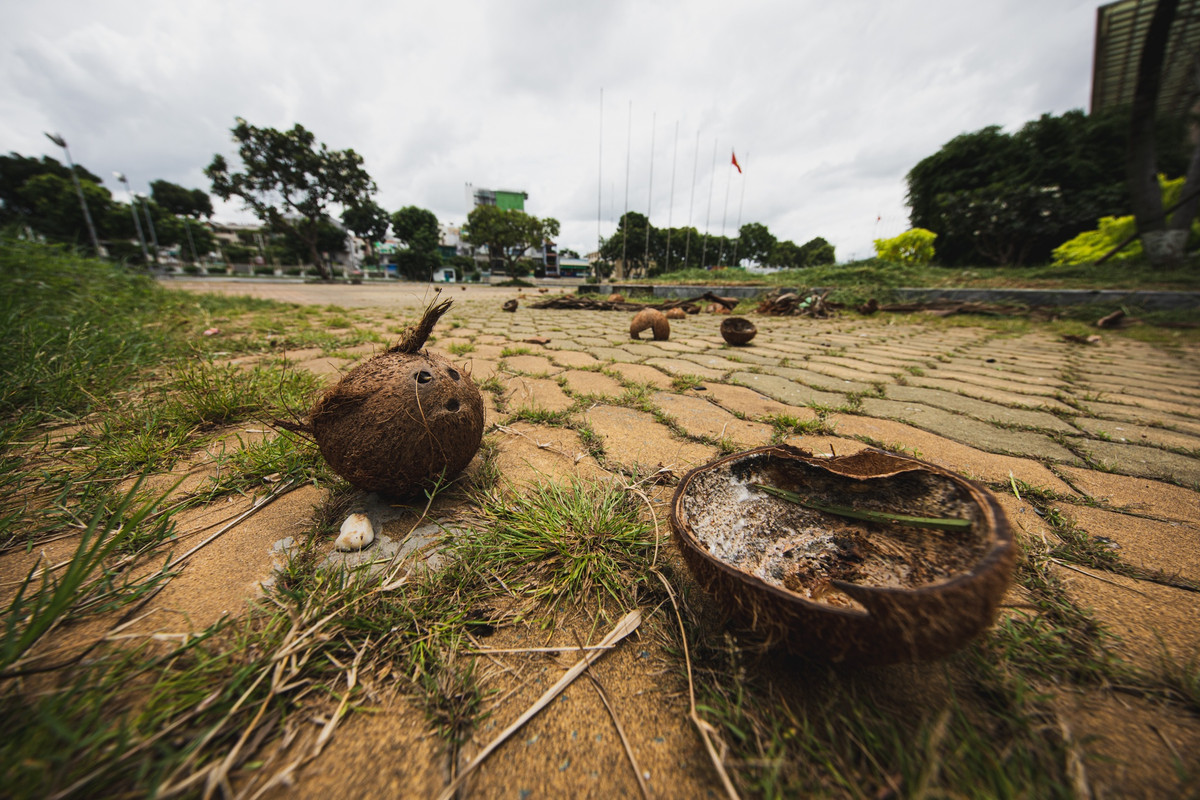 Vỏ dừa khô, rác thải vương vãi xung quanh khuôn viên nhà thi đấu Phú Thọ.