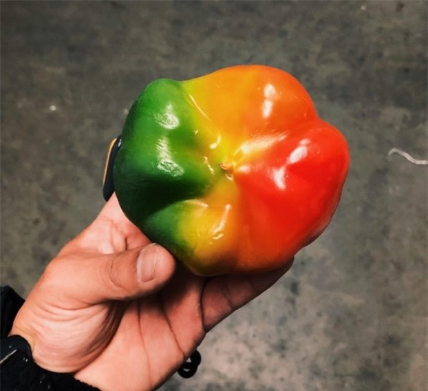 Ai đó đã may mắn tìm thấy trái ớt màu cầu vồng này