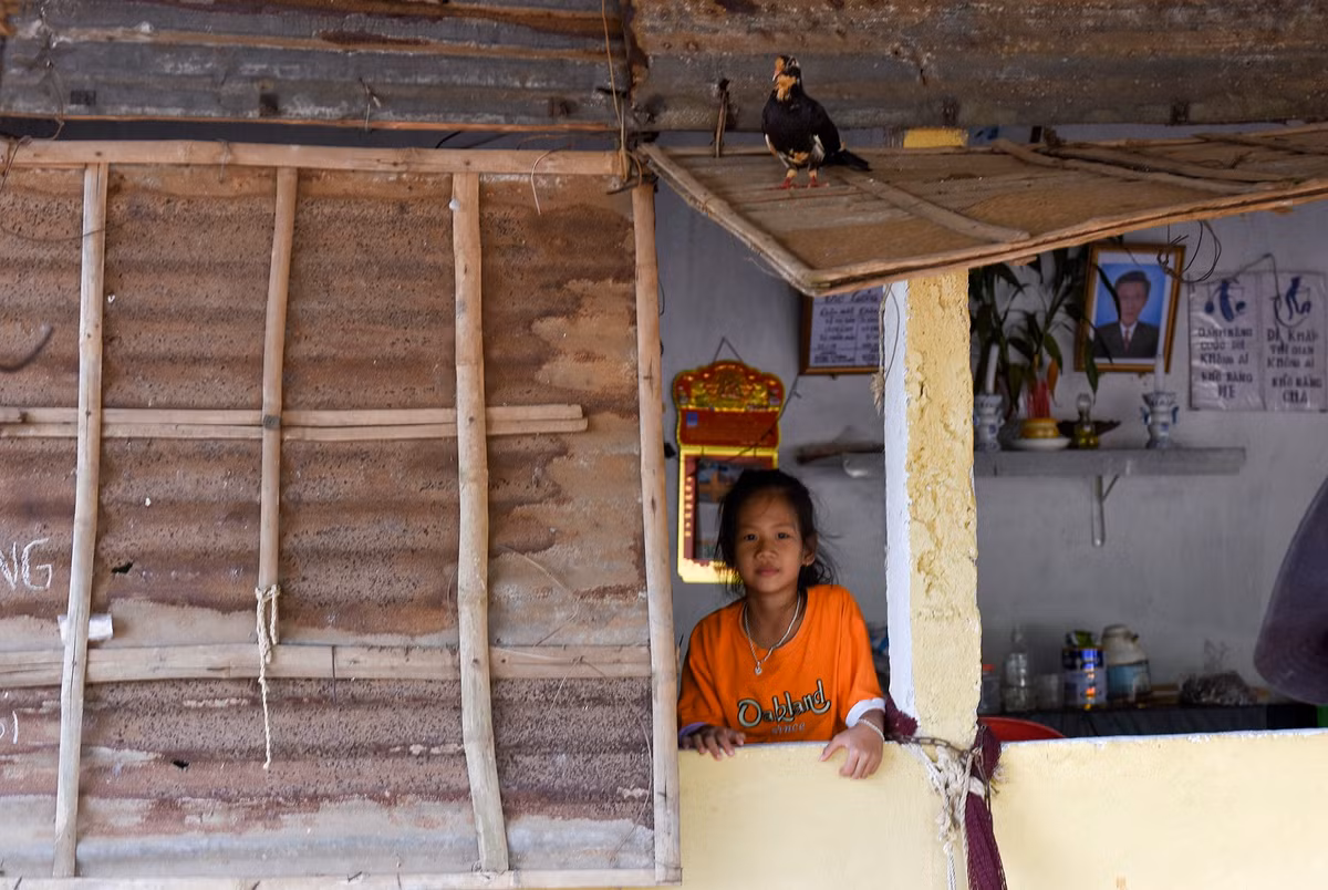 Chờ điều chỉnh quy hoạch Khu kinh tế Dung Quất kéo dài, nhiều hộ dân vẫn ở trong ngôi nhà tạm bợ suốt nhiều năm qua. Theo người dân địa phương, nhiều tuyến đường ở đô thị Vạn Tường đều đi qua đất nông nghiệp nhưng họ không được cơ quan chức năng cho phép xây nhà, làm nhà hàng, quán ăn hoặc các dịch vụ thương mại, du lịch dọc theo các trục đường này. "Chúng tôi mang tiếng là sống ở Khu kinh tế trọng điểm miền Trung, công nghiệp phát triển nhưng người dân nơi đây vẫn còn nghèo khó, thu nhập thấp là vậy", bà Trần Thị Lành (ngụ xã Bình Trị, huyện Bình Sơn) bộc bạch.