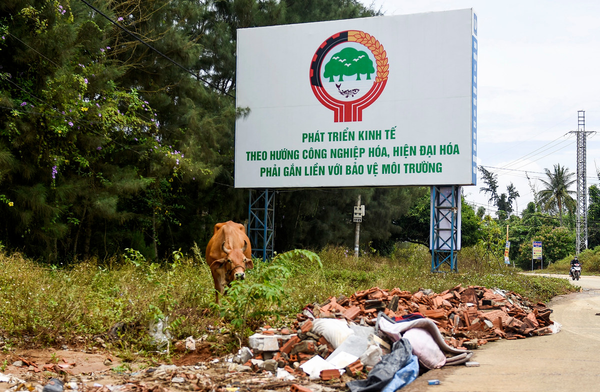 Xà bần, rác thải tràn lan ven các tuyến đường trong khu đô thị. Mật độ dân cư ở hai xã ven biển Bình Hải và Bình Trị, huyện Bình Sơn đông đúc nhưng rác thải sinh hoạt nơi đây chỉ được thu gom, xử lý ba lần/tuần. Điều này đã gây ra tình trạng rác thải liên tục bị ùn ứ, ô nhiễm môi trường.