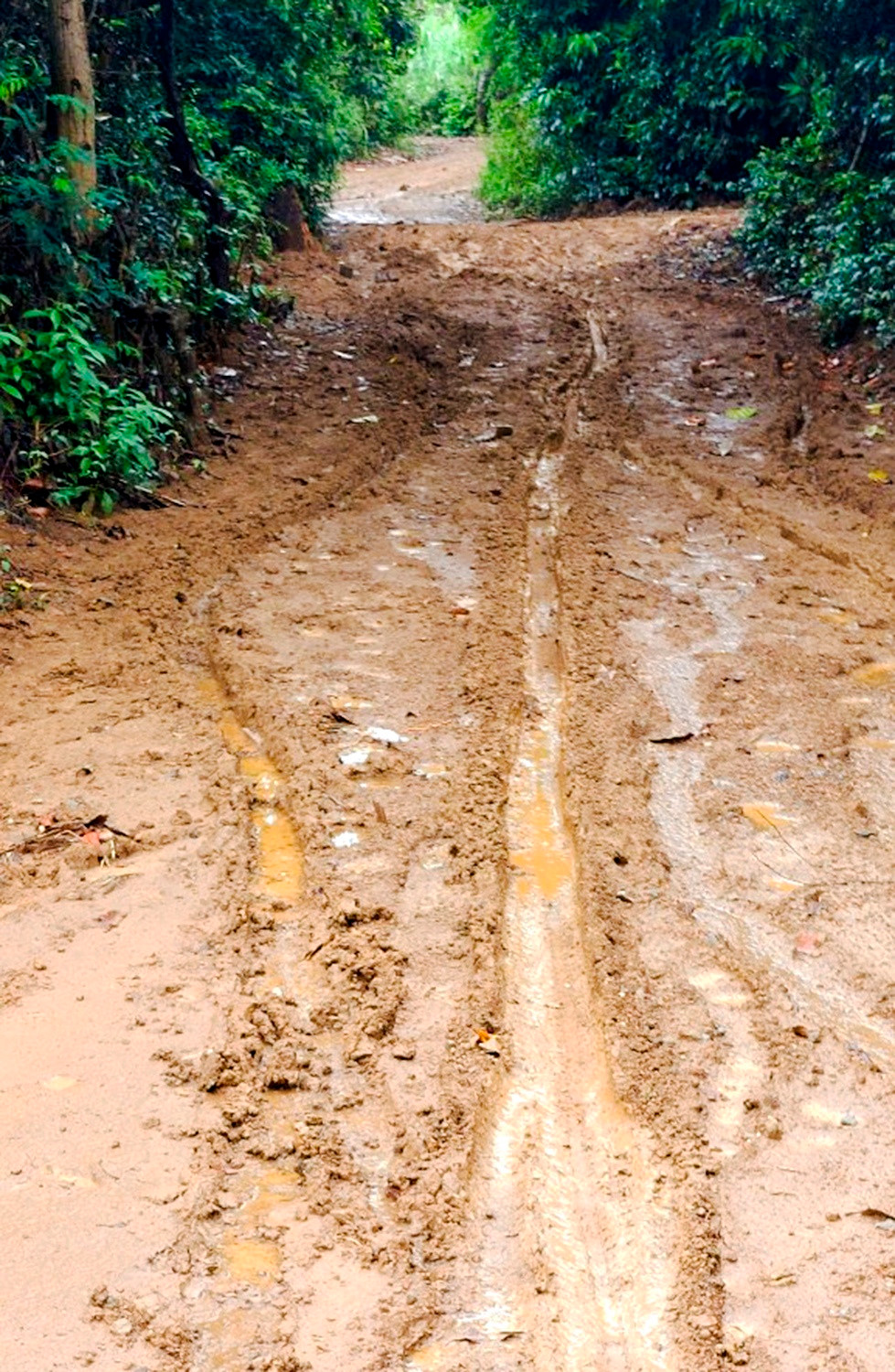 Mưa lớn cuốn theo bùn đất đỏ vùi lấp dày hơn 20 cm trên tuyến đường dân sinh ở thôn Vạn Tường, xã Bình Hải. "Mỗi khi chiều mưa dông, nước cuốn trôi bùn đất đỏ xuống đường làng, vào nhà dân gây xáo trộn lớn đến cuộc sống, sinh hoạt của người dân nơi đây", bà Trần Thị Thành (ngụ xã Bình Hải) nói.