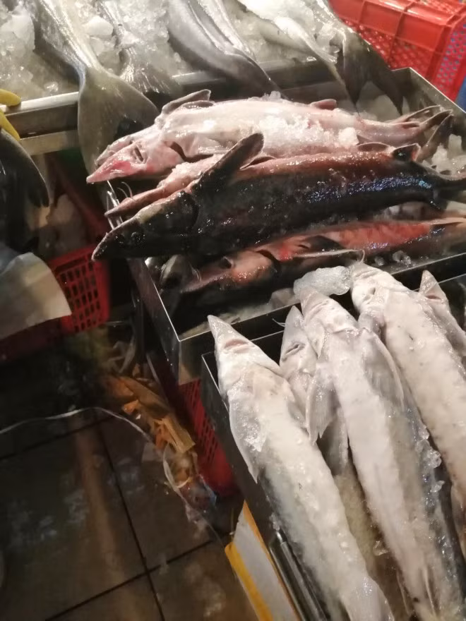 Nhieu ho nuoi o Viet Nam bo hoang, nong dan khon don vi ca tam Trung Quoc gia re-Hinh-3