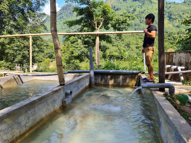 Nhieu ho nuoi o Viet Nam bo hoang, nong dan khon don vi ca tam Trung Quoc gia re-Hinh-9