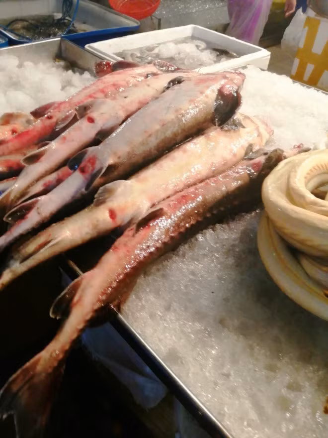 Nhieu ho nuoi o Viet Nam bo hoang, nong dan khon don vi ca tam Trung Quoc gia re-Hinh-4