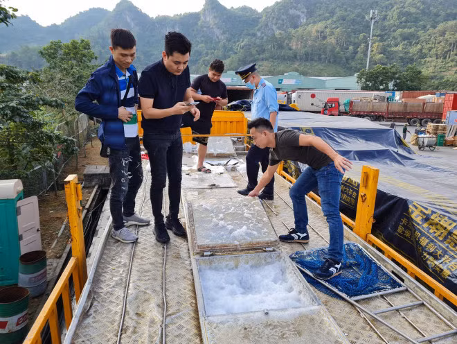 Nhieu ho nuoi o Viet Nam bo hoang, nong dan khon don vi ca tam Trung Quoc gia re-Hinh-6