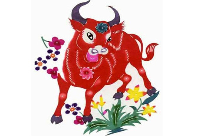 Thành tích giàu có của con giáp tuổi Sửu vào tháng 12 khá ấn tượng. Họ kiếm tiền thực tế và kiếm được rất nhiều. Trong tháng này, một số tuổi Sửu có thể bất ngờ thu hồi được số tiền đã cho vay trước đó, khiến tình hình tài chính của họ thêm bất ngờ.