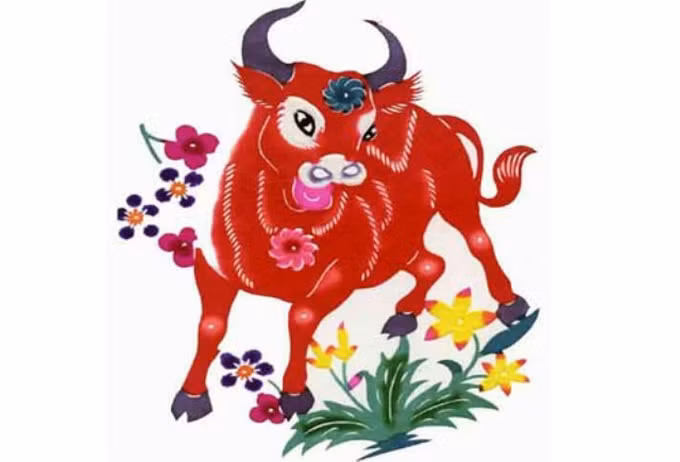 Thành tích giàu có của con giáp tuổi Sửu vào tháng 12 khá ấn tượng. Họ kiếm tiền thực tế và kiếm được rất nhiều. Trong tháng này, một số tuổi Sửu có thể bất ngờ thu hồi được số tiền đã cho vay trước đó, khiến tình hình tài chính của họ thêm bất ngờ.