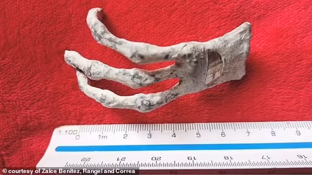 Mo 'ban tay nguoi ngoai hanh tinh’, lo bi mat dong Troi