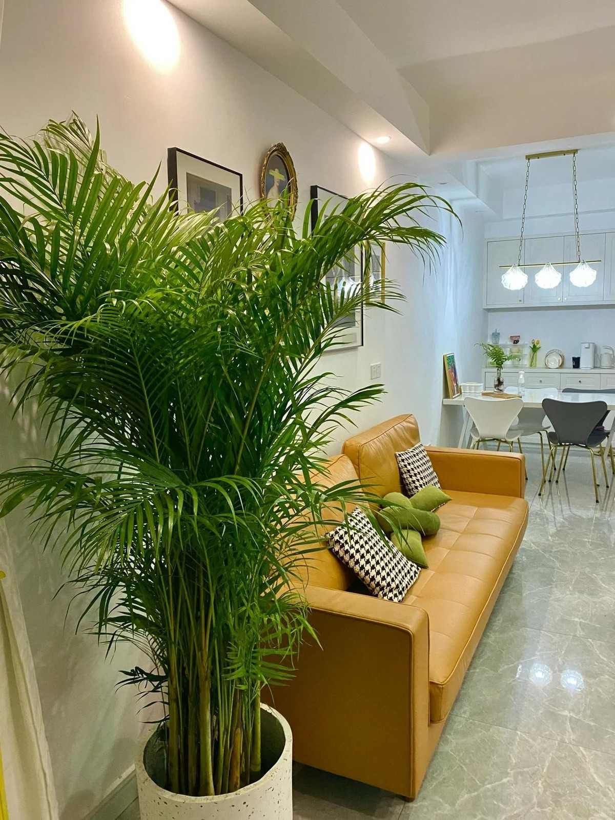 Tăng sự hòa hợp giữa các cá nhân: Dừa cảnh có nghĩa là tình yêu và hạnh phúc hoàn hảo, có thể làm tăng sự hòa hợp tình cảm giữa các thành viên trong gia đình và thúc đẩy sự hòa hợp trong các mối quan hệ giữa các cá nhân. 