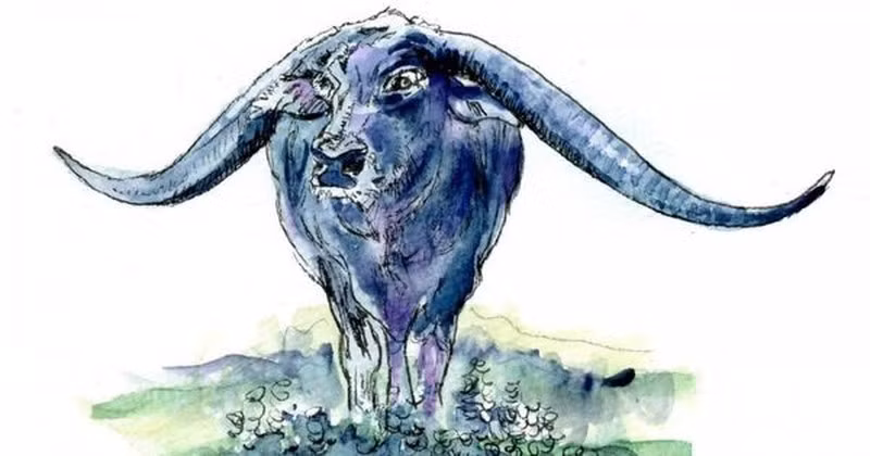 Những người sinh năm Sửu sẽ làm việc tốt trong giai đoạn này, dù ở nơi làm việc hay lĩnh vực kinh doanh. Với tài năng và sự siêng năng của mình, họ có thể giành được sự ghi nhận và đánh giá cao của cấp trên và đồng nghiệp, từ đó có nhiều cơ hội thăng tiến và mức lương cao hơn.