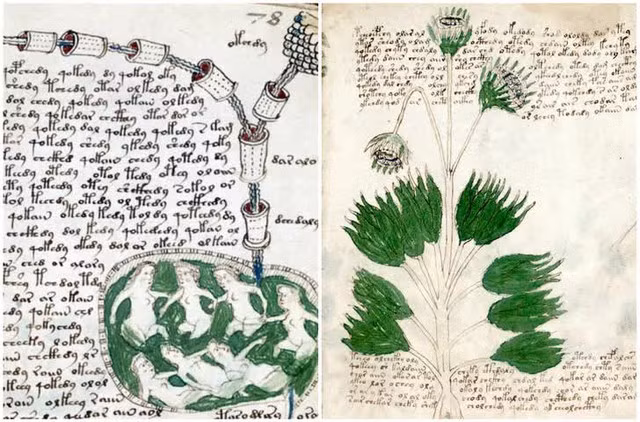  Bản thảo Voynich: Bản thảo Voynich có lẽ là cuốn sách bí ẩn nhất thế giới. Tác giả của nó không được biết đến, nó được viết bằng một ngôn ngữ không thể giải mã, và các trang của nó đầy những ký hiệu không thể giải thích và hình minh họa kỳ lạ. 