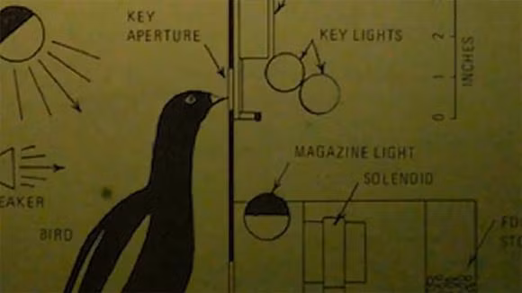 Vi sao bo cau tim duoc dung dia chi nguoi nhan thu?-Hinh-3