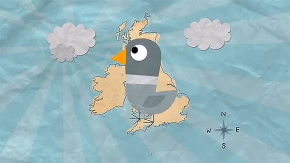 Vi sao bo cau tim duoc dung dia chi nguoi nhan thu?-Hinh-2