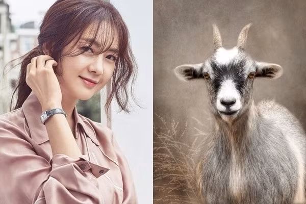  Trong cuộc sống đời thường, cô gái tuổi Dê được ví như hiện thân của sự cát tường. Mọi vấn đề liên quan đến nhà mẹ chồng, nhà mẹ chồng đều sẽ được hỗ trợ tận tình và giải quyết ổn thỏa. Điều may mắn lớn nhất của cô gái tuổi Dê là cô rất thông thạo nguyên tắc “làm mọi việc một cách dễ dàng”.