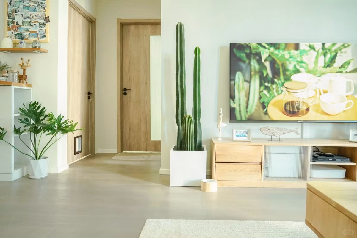 Cay canh diem lanh, trong trong nha giup an gia, tran trach-Hinh-11