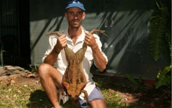 br/> Hiện nay nông dân Úc cũng dùng nhiều thủ đoạn để diệt trừ cóc mía, có người cho rằng nên cho một số loại thuốc trừ sâu vào những nơi cóc thường lui tới để “tấn công bằng độc” tiêu diệt chúng, số khác lại cho rằng nên đập trực tiếp khi nhìn thấy cóc bên đường, nhưng bị phản đối vì những cách làm này dễ gây hại cho các con vật khác nên không được chấp nhận.