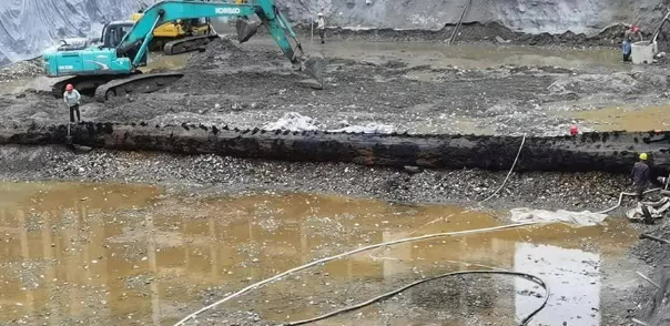 Khúc gỗ nằm sâu 10m dưới lòng đất, có màu đen kịt, rất cứng, và tỏa mùi hương dễ chịu, gây chú ý đặc biệt. (Ảnh: Ifeng)