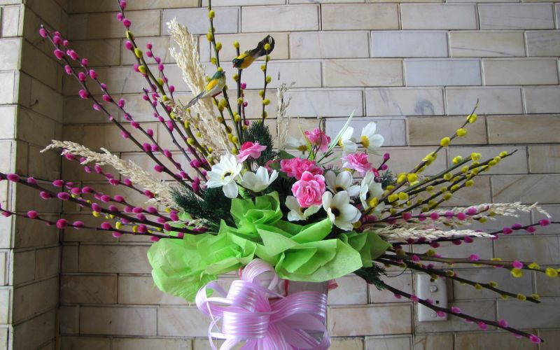  Cây liễu bạc cũng không nên đặt ở môi trường khô ráo vì đây là cây ưa ẩm. Ngoài tự nhiên, chúng thường phát triển ở ven bờ sông, bờ suối, nơi có nguồn nước dồi dào.