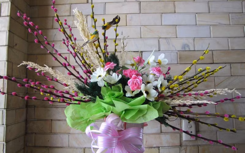  Cây liễu bạc cũng không nên đặt ở môi trường khô ráo vì đây là cây ưa ẩm. Ngoài tự nhiên, chúng thường phát triển ở ven bờ sông, bờ suối, nơi có nguồn nước dồi dào.