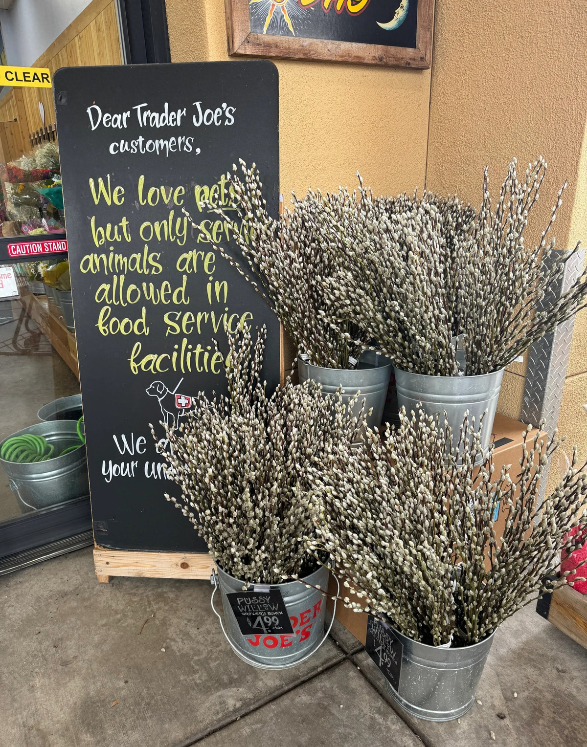 Ý nghĩa của hoa liễu bạc mà người xưa coi trọng. Giúp cải thiện vận may và thăng tiến trong công việc. Người xưa cho rằng, bày tầm xuân trong nhà sẽ giúp chúng ta cải thiện vận may trong sự nghiệp và giúp thăng tiến trong công việc, khiến mọi sự thuận buồm xuôi gió. 