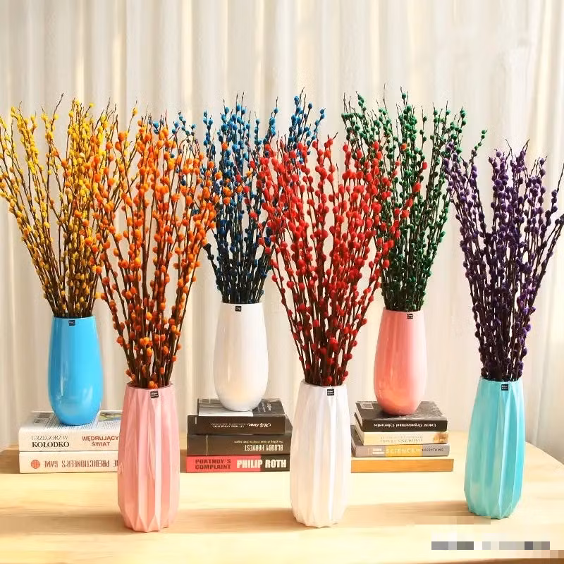 Cứ sát dịp Tết nguyên đán, người ta lại thấy liễu bạc với màu sắc xanh đỏ, tím, vàng... được bày bán rực rỡ ở các chợ hoa. Một chậu liễu bạc được đặt trong nhà từ đầu năm đến cuối năm, người xưa cho rằng sẽ mang lại sự thịnh vượng cho gia đình.