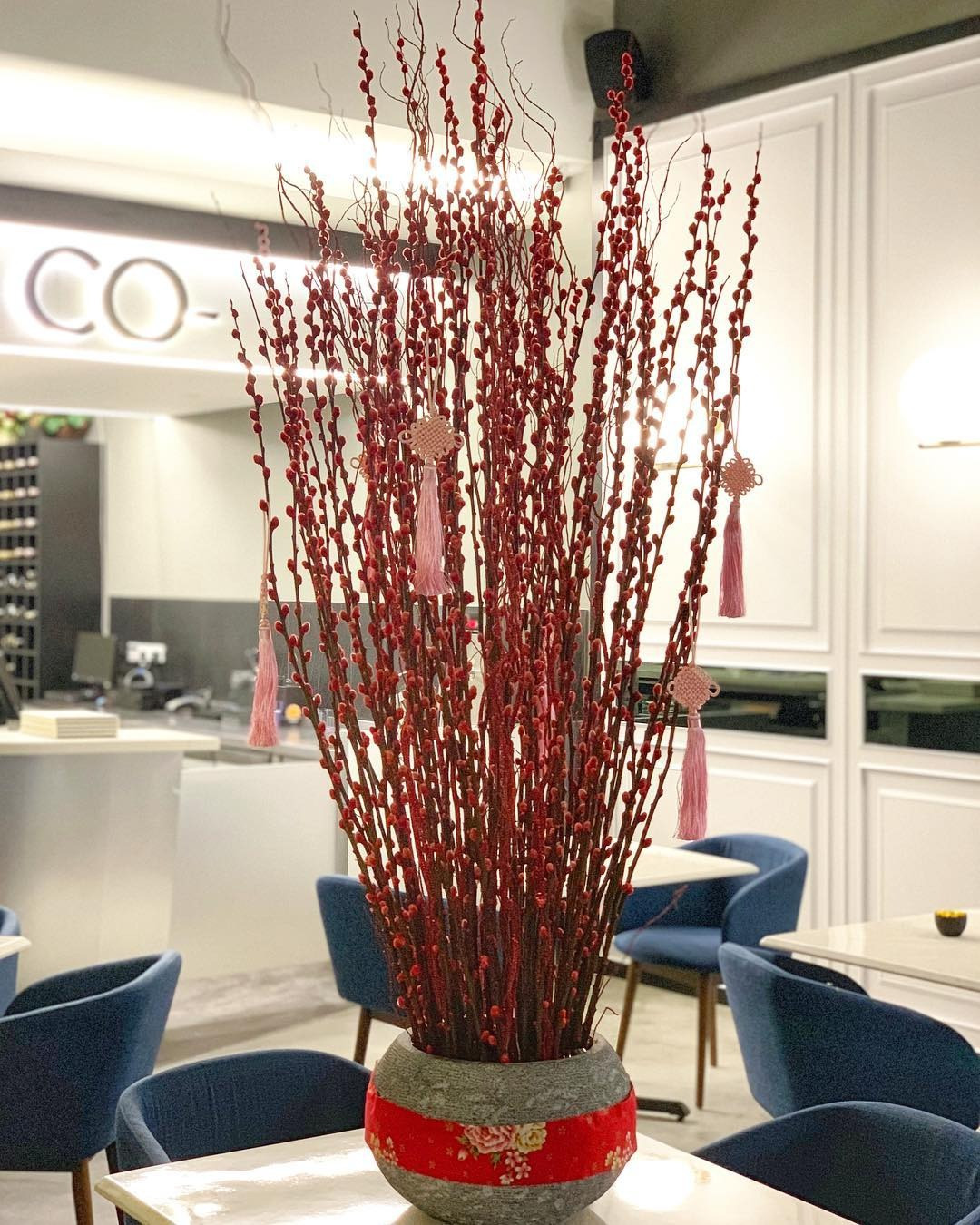  2. Thu hút tài lộc. Người xưa cho rằng bày tầm xuân trong nhà vào dịp năm mới, đặc biệt là tầm xuân màu đỏ có ý nghĩa thu hút tài lộc và xua đuổi tà ma. Cây cảnh này có tác dụng lớn trong việc thu hut sự giàu có. Màu sắc của nó có màu bạc lấp lánh, là biểu tượng của sự giàu có. Cây liễu bạc trong nhà càng tốt thì càng ngụ ý tài lộc dồi dào, gia đình kiếm được nhiều tiền, nhiều bạc. 