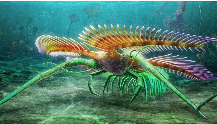 Quái vật “xuyên không” 450 triệu năm bằng cách vô lý nhất thế giới - Hình 2 Quai vat “xuyen khong” 450 trieu nam bang cach vo ly nhat the gioi-Hinh-2