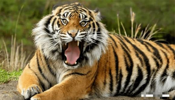 Cau noi: 'Khong so ma khoc, chi so cho hu', cau nay co y nghia gi?-Hinh-3