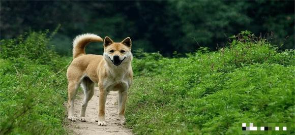 Cau noi: 'Khong so ma khoc, chi so cho hu', cau nay co y nghia gi?-Hinh-2