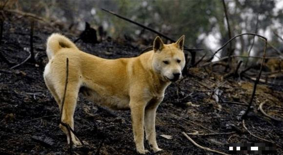 Cau noi: 'Khong so ma khoc, chi so cho hu', cau nay co y nghia gi?