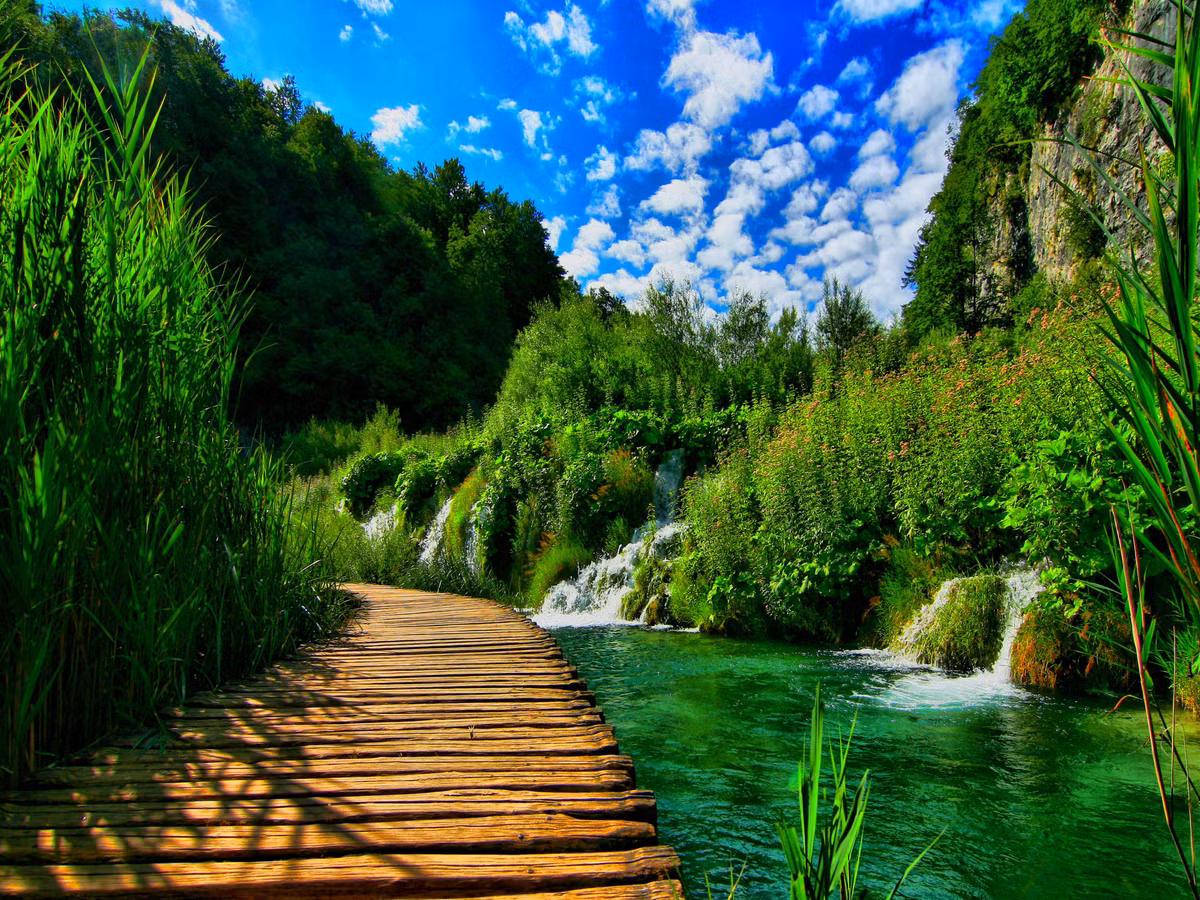 Ai sinh 8 ngay Am lich nay van may do ruc, lien tuc don tin vui-Hinh-2