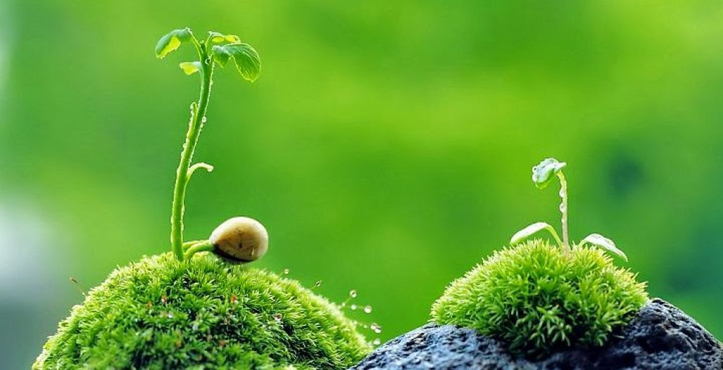 Vì vậy, khi họ đang có phong độ tốt, họ có thể tạo ra những bước đột phá trong công việc, đồng thời học hỏi thêm nhiều kiến thức, giúp đỡ cho sự phát triển sự nghiệp sau này.