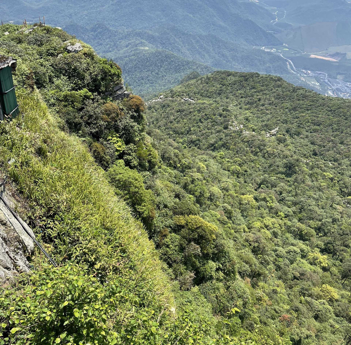 Hình ảnh nơi trú ẩn của người phụ nữ trong 7 ngày rơi xuống vực ở Yên Tử - Hình 8 Hinh anh noi tru an cua nguoi phu nu trong 7 ngay roi xuong vuc o Yen Tu-Hinh-8