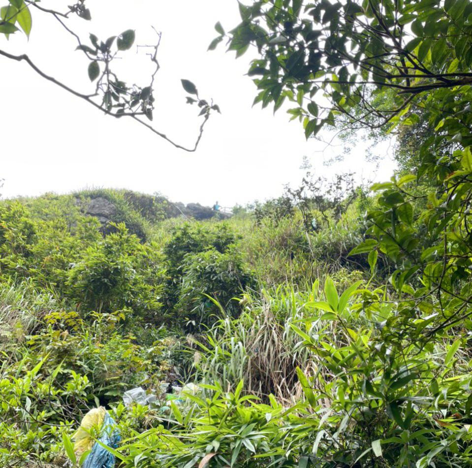 Hình ảnh nơi trú ẩn của người phụ nữ trong 7 ngày rơi xuống vực ở Yên Tử - Hình 5 Hinh anh noi tru an cua nguoi phu nu trong 7 ngay roi xuong vuc o Yen Tu-Hinh-5