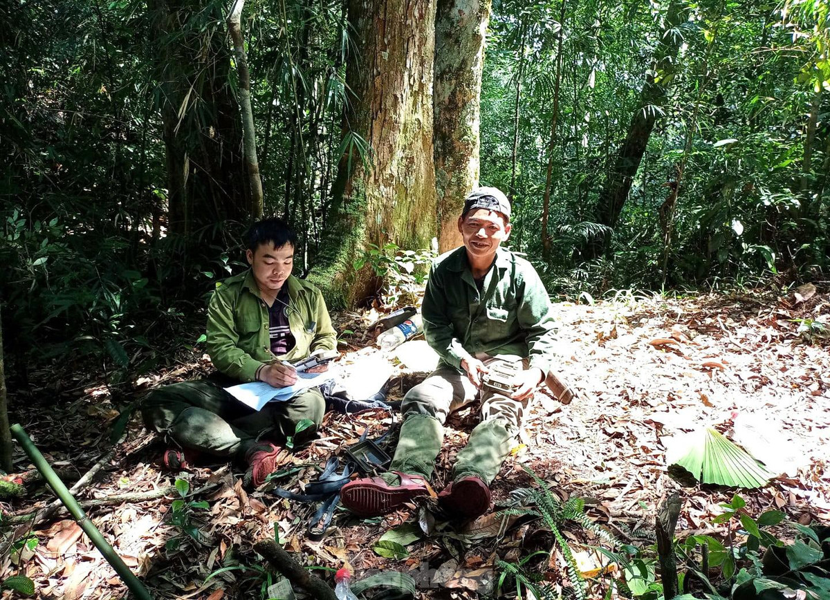 Mỗi cụm cách nhau 1 km đường chim bay và được thiết kế theo hình vuông bao gồm 4 cụm cách nhau 500m đường chim bay. Tại địa điểm đặt máy sẽ tiến hành đặt 2 bẫy ảnh nằm đối diện nhau, cách nhau 5-10m. Mỗi bẫy ảnh đặt cách mặt đất 10-30 cm phụ thuộc vào điều kiện địa hình.