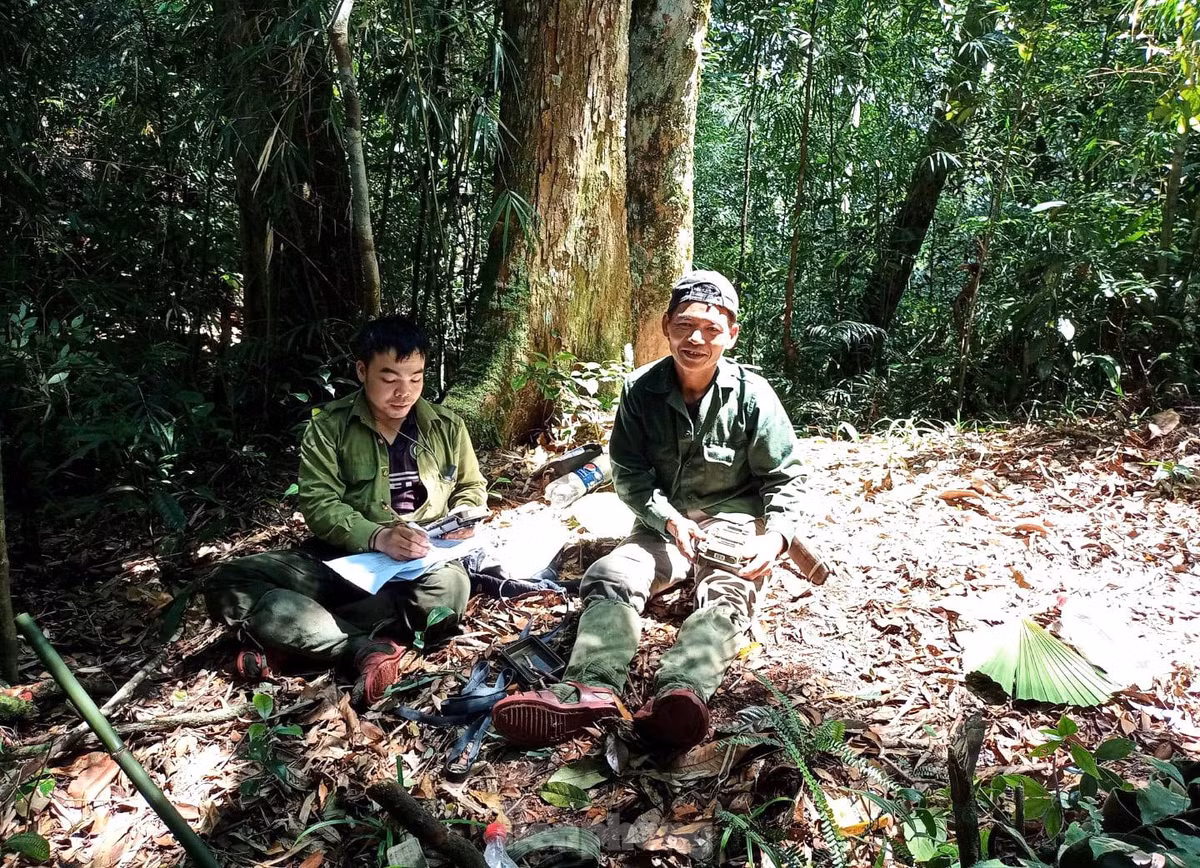Mỗi cụm cách nhau 1 km đường chim bay và được thiết kế theo hình vuông bao gồm 4 cụm cách nhau 500m đường chim bay. Tại địa điểm đặt máy sẽ tiến hành đặt 2 bẫy ảnh nằm đối diện nhau, cách nhau 5-10m. Mỗi bẫy ảnh đặt cách mặt đất 10-30 cm phụ thuộc vào điều kiện địa hình.